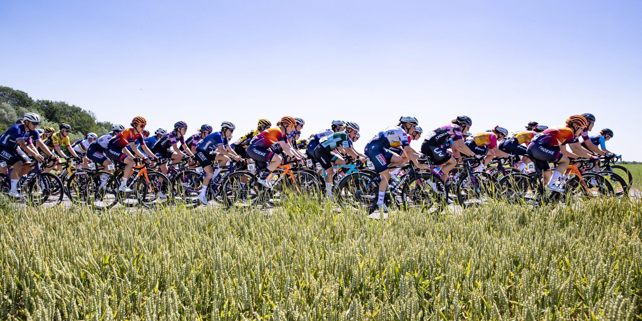 NK wielrennen vrouwen 2023