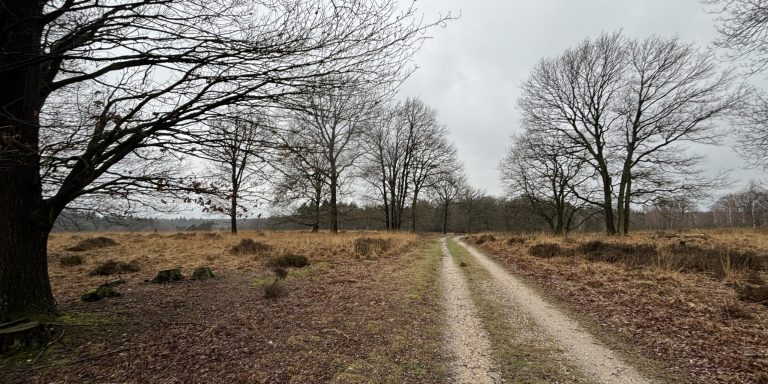 Te mooi voor het Gooi