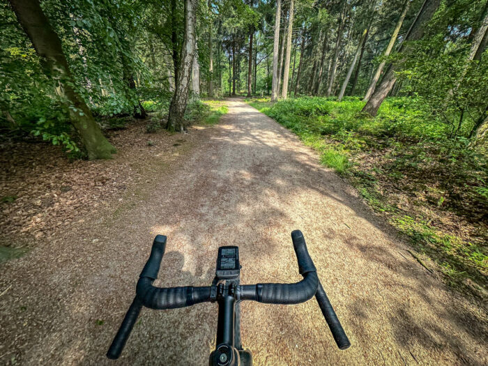 High Calypso in Meerlo