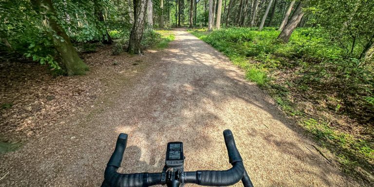 High Calypso in Meerlo