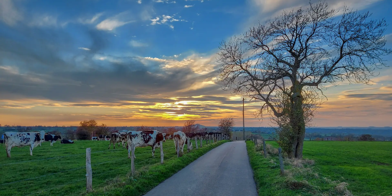 Slingerend door de Voerstreek