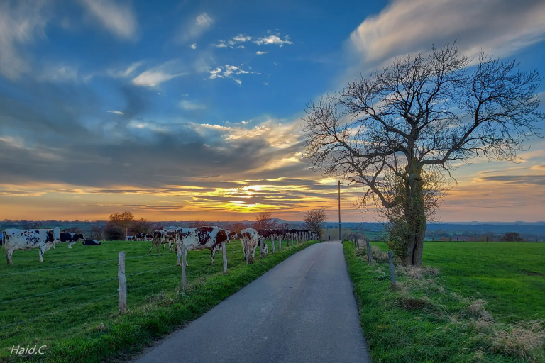 Slingerend door de Voerstreek